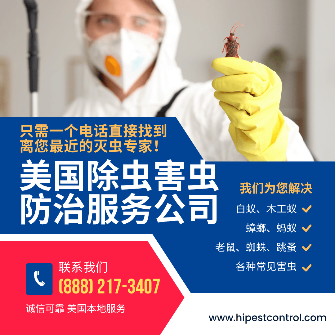 美国除虫害虫防治服务公司